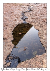 Pool Reflection