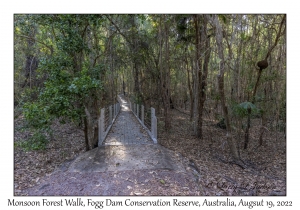 Monsoon Forest Walk