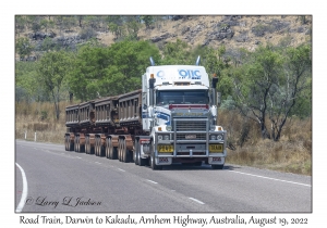 Road Train