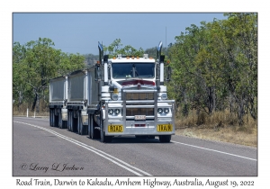 Road Train