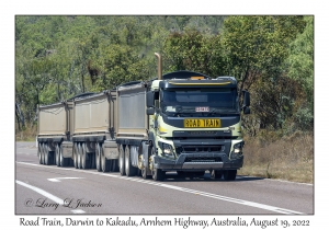 Road Train