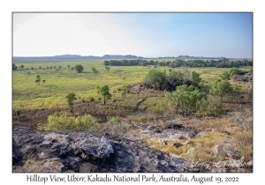 Hilltop View