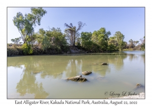 East Alligator River