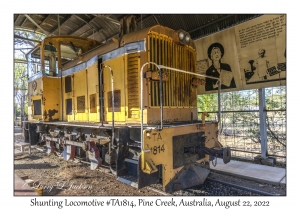 Shunting Locomotive #TA1814