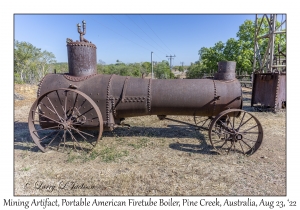 Portable American Firetube Boiler