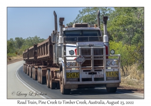 Road Train