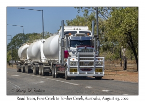 Road Train