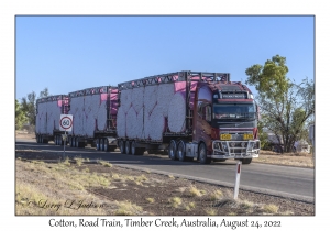 Road Train