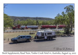 Road Train