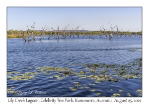 Lily Creek Lagoon