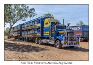 Road Train