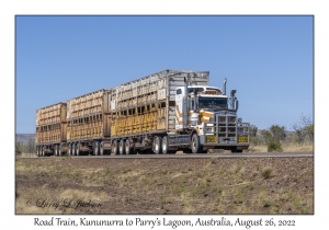 Road Train