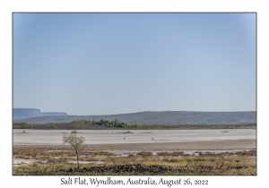 Salt Flat