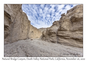 Natural Bridge Canyon