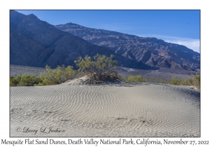 Mesquite Flat Sand Dunes