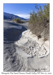 Mesquite Flat Sand Dunes