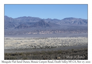 Mesquite Flat Sand Dunes