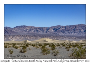 Mesquite Flat Sand Dunes