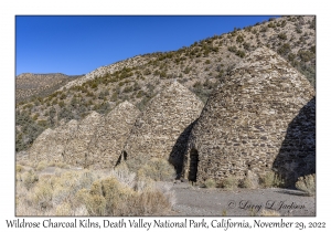 Wildrose Charcoal Kilns