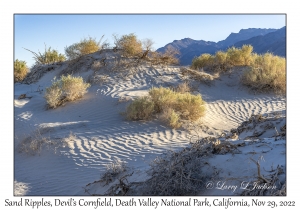 Sand Ripples