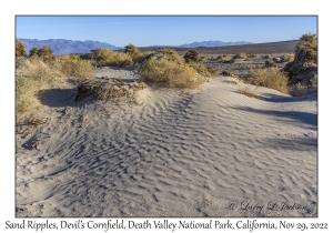 Sand Ripples