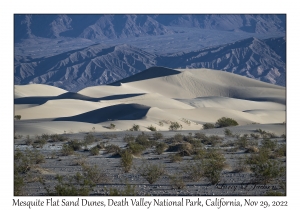 Mesquite Flat Sand Dunes