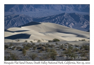 Mesquite Flat Sand Dunes