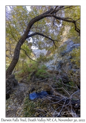 Darwin Falls Trail