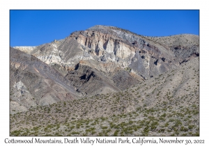 Cottonwood Mountains