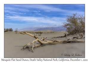 Mesquite Flat Sand Dunes