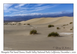Mesquite Flat Sand Dunes