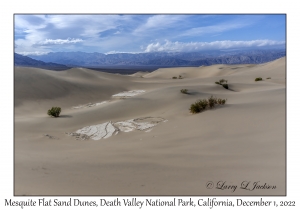 Mesquite Flat Sand Dunes