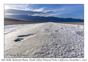 Salt Walk