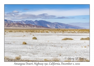 Amargosa Desert