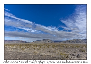 Ash Meadows National Wildlife Refuge