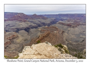 Shoshone Point