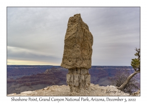 Shoshone Point Rock