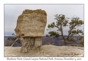 Shoshone Point Rock