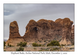 Elephant Butte