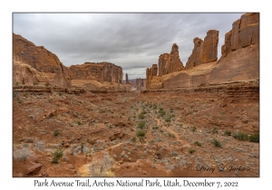 Park Avenue Trail