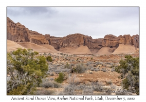 Ancient Sand Dunes View