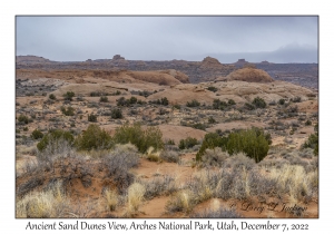 Ancient Sand Dunes