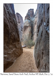 Trail Narrows