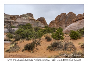 Arch Trail