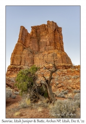 Utah Juniper & Butte