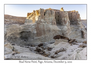 Stud Horse Point