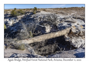 Agate Bridge