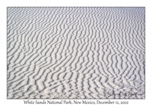 Sand Ripples