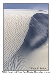 Dune Edge