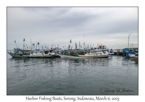 Harbor Fishing Boats